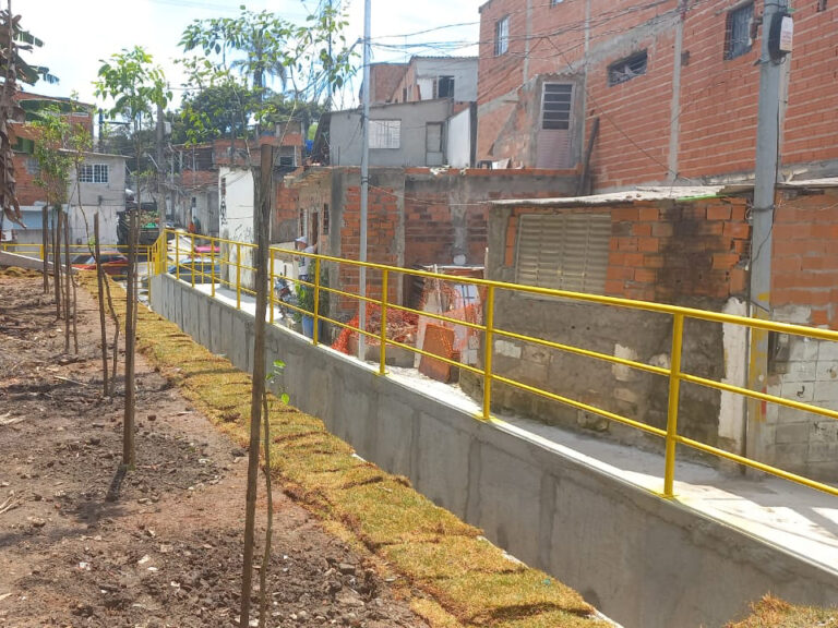Obra Anhanduizinho (8)