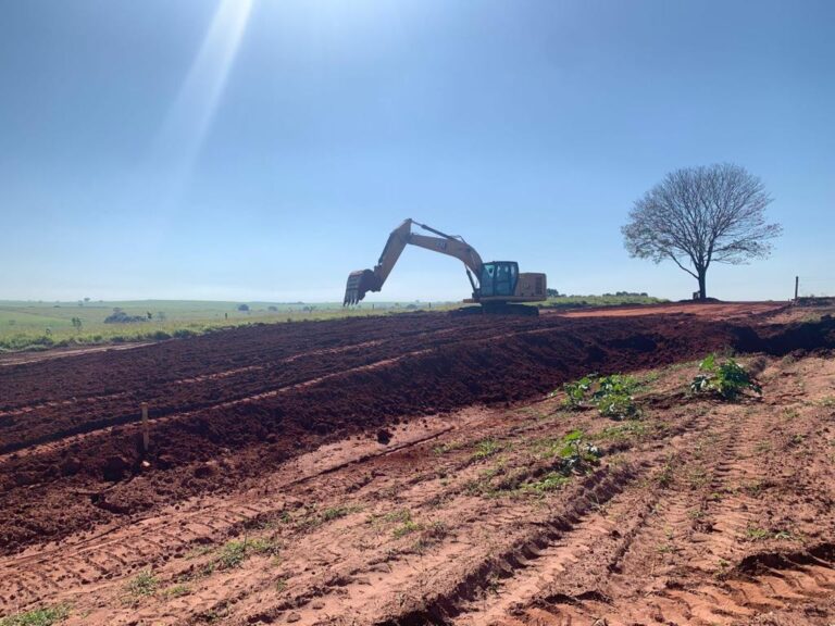 agricultura (4)