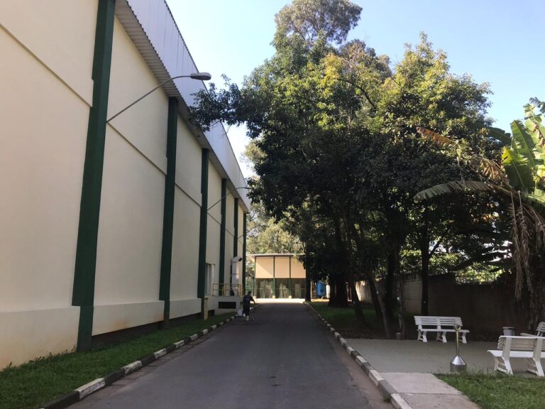 Instituto Butantan